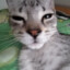 zinnar♥