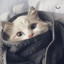 斑马案