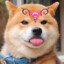 贤贤蒸虾头