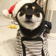 美丽善良可爱大方