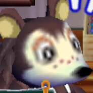 stxrbears