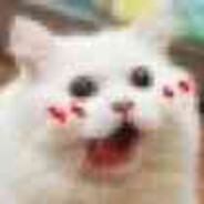 清纯佳人白玫瑰