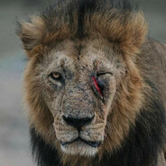 ᴾᴸᴬᵀᴵᴺᵁᴹ