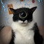 iFox