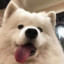 你的选择是什么