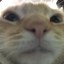 doom is ok