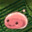 Fink