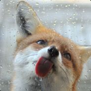 RedFox's avatar