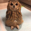 EnlightenedOwl