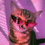 Ch1CAT