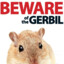 GodOfGerbils