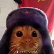 能力越小责任越小