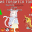 яна цист