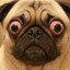 Muffel