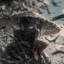 ITACHI