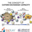 Cation exchange capacity