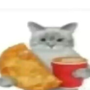 小猫你可以吃炸鸡汉堡