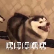 蜜汁小憨包