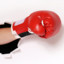 Boxing Glove