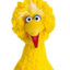 Big Bird