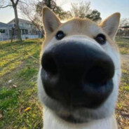 甜甜的电妹也有咸咸的地方