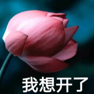 比奇堡AKA章鱼哥