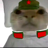 AAA煤炭批发王哥