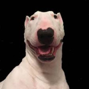 smiling walter
