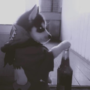 愿沙二漫天飞鸡