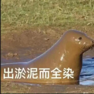 你猜我野牛到哪里了