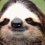 Monsieur Sloth