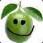 Caringlime