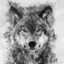 GREY_WOLF