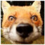 DraconicFox