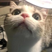 你了解我些什么