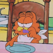 鱼片的忧伤Garfield