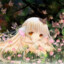 SleepyYouri