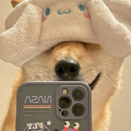 翻斗花园突击手牛爷爷