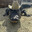 BearZ