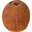 coconut