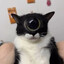 eyejamb