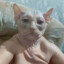ВАНЯСССР_2010