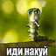 КИСУНЯ 2010