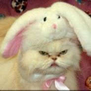 就站那 别动！！