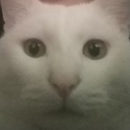 Dapplication