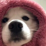 猛踹瘸子第三条腿