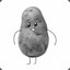 Grey Potato