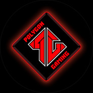 Polygon Gaming User 13