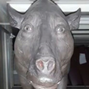 Унатазная мощь