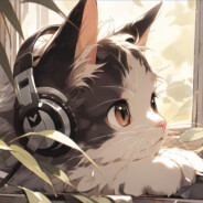 qlcy星辰